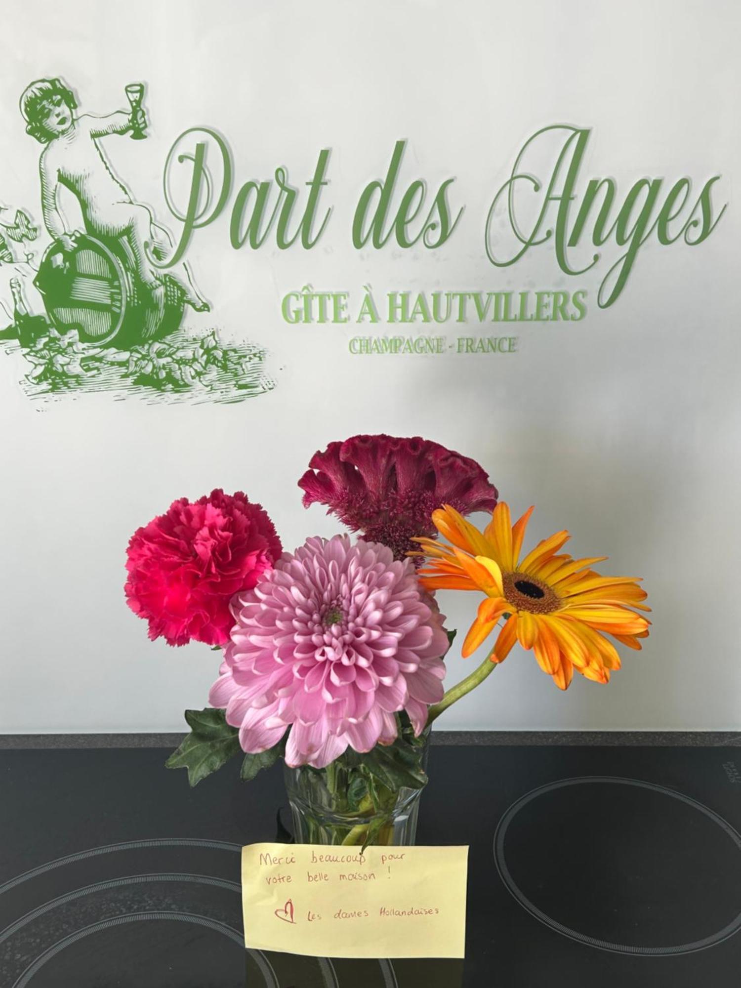 Part Des Anges - Gite Hautvillers Zewnętrze zdjęcie